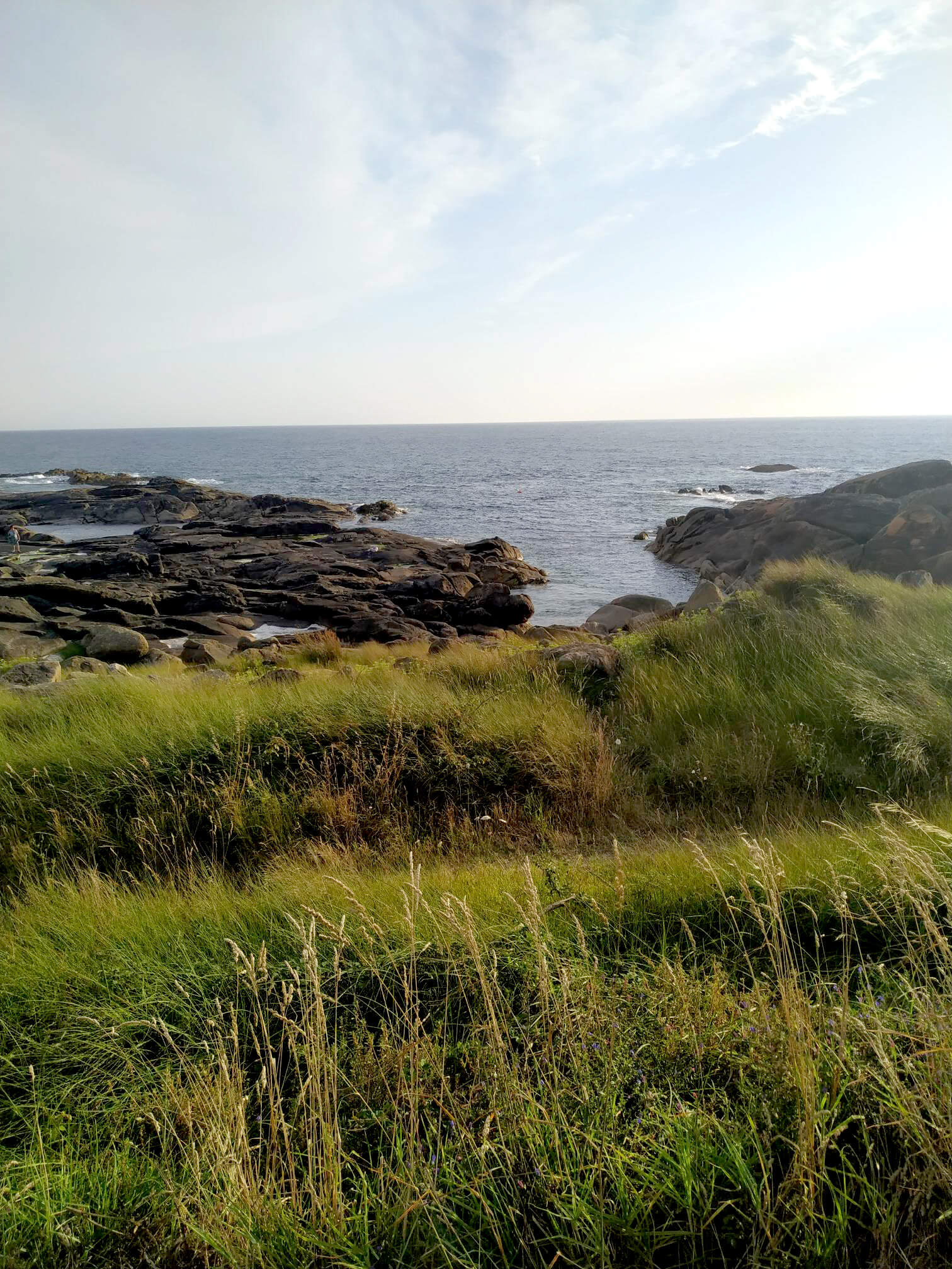 El Instituto Gallego de Estudios del Territorio presenta el proyecto Green Gap para el impulso de las infraestructuras verdes y para la restauración de la biodiversidad y diseño de paisaje en Galicia y el Norte de Portugal