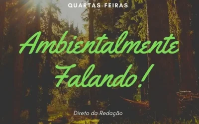 El proyecto Green Gap presente en Radio Fundação de Guimarães